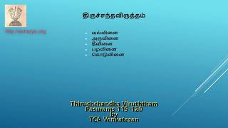 திருச்சந்த விருத்தம்  119-120