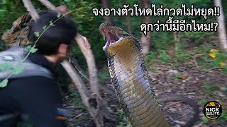 ลุยดิบ EP.136 ดุกว่านี้มีอีกไหม!? จงอางตัวโหดไล่กวดไม่หยุด!!