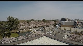 弘前さくらまつり2018 弘前市役所屋上から 4K