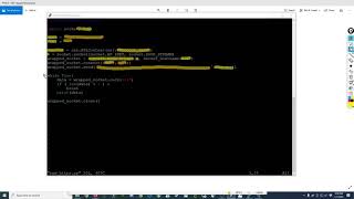 [018] Raw HTTPS request using Python
