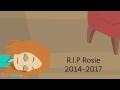 Rosie Pushes Caillou Off The Stairs/Killed (Most Viewed Video)