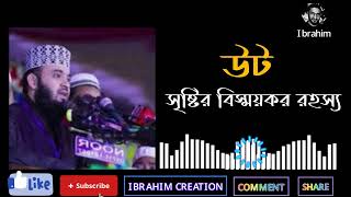 উট সৃষ্টির বিস্ময়কর রহস্য | মিজানুর রহমান আজহারী | Mizanur Rahman Azhari waz 2024