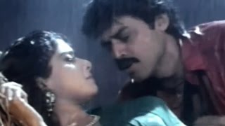 Kshana Kshanam Movie Video Songs || Ammayi Muddu Video Song || Venkatesh , Sridevi