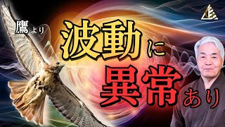 「○」の化身、鷹より 一種の警告です「波動に異常あり」【○の化身である鷹の霊言】（24.11.19収録）