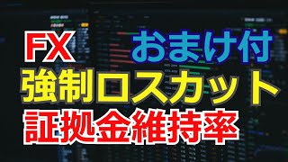 FXの強制ロスカットと証拠金維持率を解説！初心者でも分かる動画(特殊な事例付き)