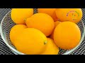 লেবু দিয়ে কি করবেন 🍋🍋🍋 সেই সমস্ত লেবু ব্যবহার করার 5টি সেরা উপায়