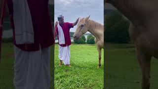 marathi couple farming in USA ....foreign che Desi shetkari