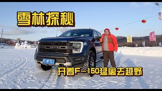 雪林探秘，开着F-150猛禽去越野，福特纵横，无所不能