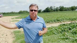 Weed Management in Sweet Potato (Donnie Miller)