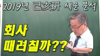 사주명리학-(현명역학원)회사를 계속 다녀야 하는지 이직하여야 하는지 고민하는 사주의 2019년세운 종합분석