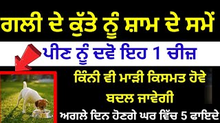 ਗਲੀ ਦੇ ਕੁੱਤੇ ਨੂੰ ਸ਼ਾਮ ਦੇ ਸਮੇਂ ਪੀਣ ਨੂੰ ਦਵੋ ਇਹ 1 ਚੀਜ਼ ਮਿਲਣਗੇ ਇਹ 5 ਫਾਇਦੇ katha vichar