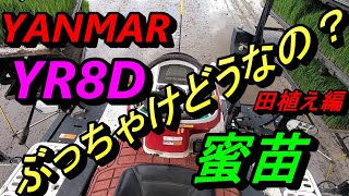 YANMAR‐YR8D＆蜜苗、ぶっちゃけどうでしょうか？