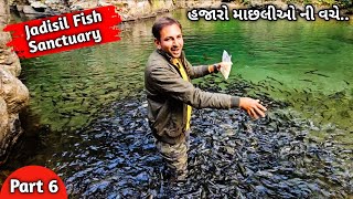 હજારો માછલીઓની વચે | Jadisil Fish Sanctuary | Meghalaya Garo Hills #fishing