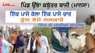 Kabootar Bazi Pind Ubba (ਪਿੰਡ ੳੁਭੱਾ) live video Bagga HD