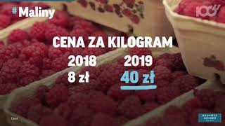 Jak pogoda wpływa na ceny warzyw i owoców? Przykłady | Onet100