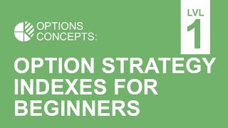 Option Strategy Indexes for Beginners