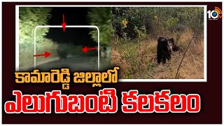 కామారెడ్డి జిల్లాలో ఎలుగుబంటి కలకలం | Bear In Kamareddy district | 10TV