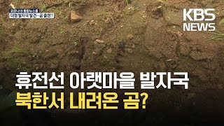 휴전선 아랫마을 곰 발자국 흔적…북한서 남하? / KBS 2021.07.09.