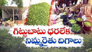 గిట్టుబాటు ధర లేక నిమ్మ రైతు విలవిల | Farmers Troubles | Nellore District