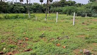 Trichy Ariyamangalam Ritz Avenue 1st phase 3200sft Empty Land for sale North Facing