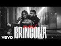 Reboll333 - Brincona 🦘(Video Oficial)