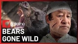 Japan Bear Attacks | Full Episode | SBS Dateline