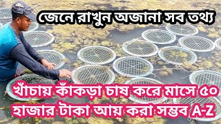 খাঁচায় কাঁকড়া চাষ করে মাসে ৫০ হাজার টাকা ইনকাম। crab farming / unique crab farming method