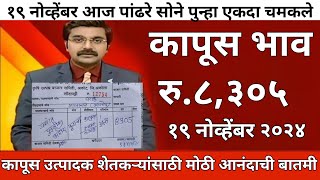 १९ नोव्हेंबर कापूस बाजार | महाराष्ट्रातील सर्व जिल्ह्याचे आजचे कापूस भाव| kapus bhav| cotton rate