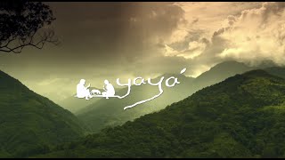 電影短片《 yaya' 》預告片