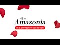 NEW! 'Amazonia' | The Amazonia Collection | Aaron Terence Hughes