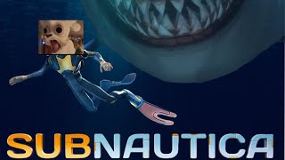 This Game Has Me Stressing | Subnautica