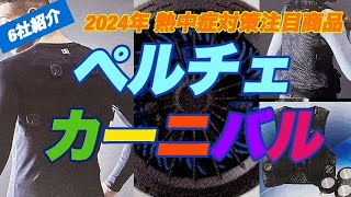 2024年はペルチェ商品がいっぱい！まさにペルチェカーニバル ！ペルチェ商品を扱うメーカー６社を一挙紹介