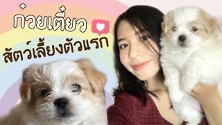 รีวิว สัตว์เลี้ยงตัวแรก | ชิสุห์ผสมพุดเดิ้ล | THE FONG