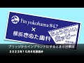 ブリッジからインプラントにするときの治療について｜横浜きぬた歯科×ちょうどいいラジオ