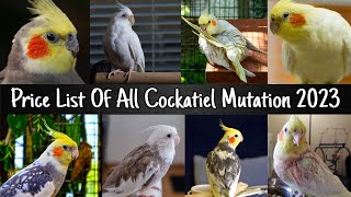 Price List of all Cockatiel Mutation 2023