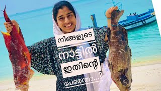 റൂഹി പെണ്ണിന്റെ ആദ്യ വ്ലോഗ്..🥳നിങ്ങളുടെ നാട്ടിൽ ഇതിന്റെ പേരെന്താ....? കമന്റ് ചെയ്യൂ...!! #shorts