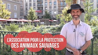 Protection des animaux sauvages : quelle place pour le vivant ?