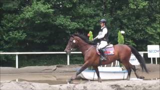 2016.5.28 第37回全日本ヤング総合馬術大会2016 トレーニングクラス クロスカントリー競技 高橋駿人 慶豪号