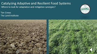 Adaptation & Mitigation Synergies in Agriculture