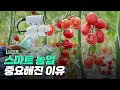 [핫클립] 스마트 농업이 중요한 이유 / YTN 사이언스