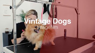 VintageDogs  • Imagefilm