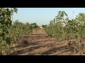 l afrique de l ouest face au défi climatique