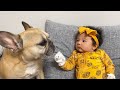 Dogs Fall In Love With Newborn Baby