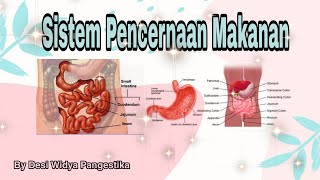 Sistem Pencernaan Makanan | Saluran Pencernaan | Biologi Kelas XI