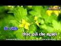 tình ca quê hương karaoke tone nam nhạc sống phối mới dễ hát nhật nguyễn