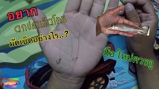 อยากตกปลาเห็ดโคน(ปลาทราย)ต้องมัดเบ็ดอย่างไร มือใหม่ควรดู #วิธี #ผูกเบ็ด
SILVER SILLAGO