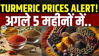 Spice Festive Season Price News |Jeera और Turmeric के दामों में होगी कोई बढ़त?जल्द बन सकता है Bottom?