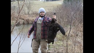 Trapping Beavers in Tennessee