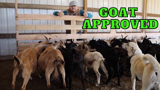 Goat Feed Bunk Is Almost Complete | Will The Homemade Lumber Hold Up?