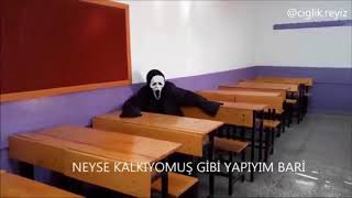 Çığlık Reyiz En güzel videoları!!